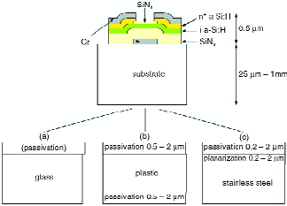 fig_2_tif