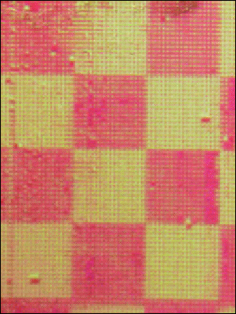 Fig__1_Johnson_tif