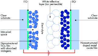 Fig__4_Molecules_tif