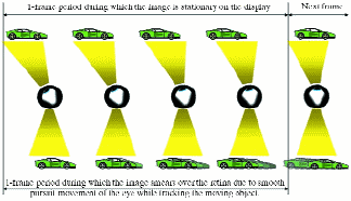 p20_fig1_tif