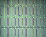 p30b_tif