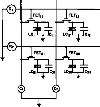 p29_tif