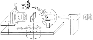 p22_tif