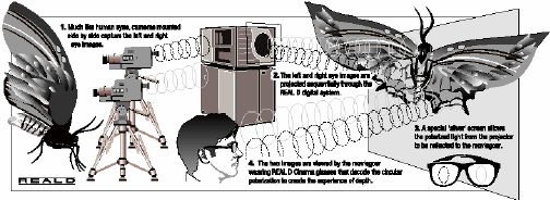 p36_pdf