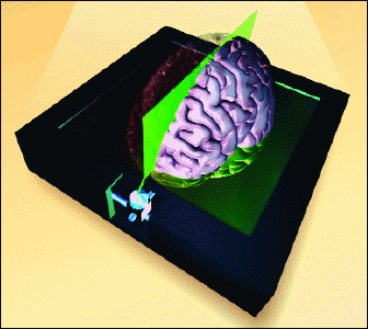 FIG1_tif