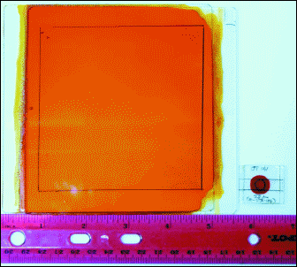 FIG2_tif