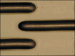 fig_4a_tif