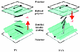 fig_3_tif