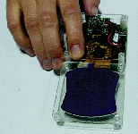 fig_4b_tif