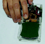fig_4c_tif