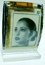 Figure_5_tif