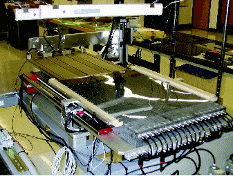Fig6_tif