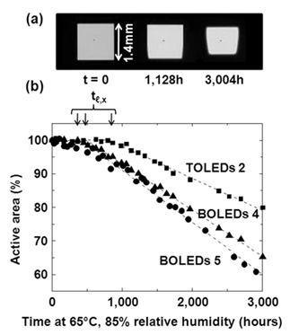 Fig_5