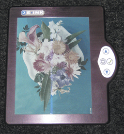 Fig_3