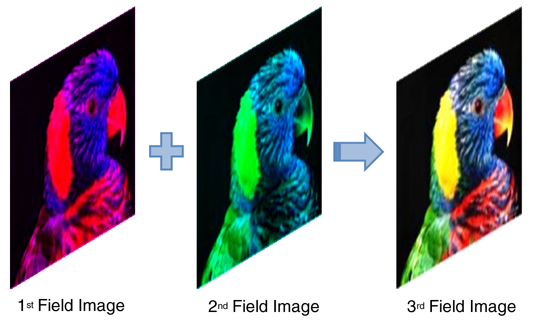 Fig_4a