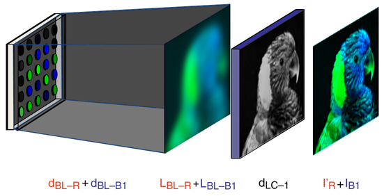 Fig_4b