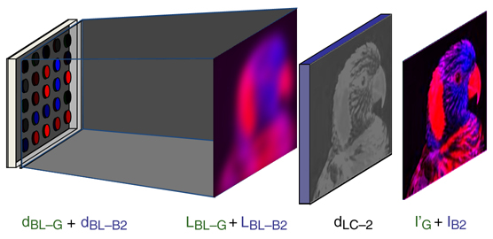 Fig_4c
